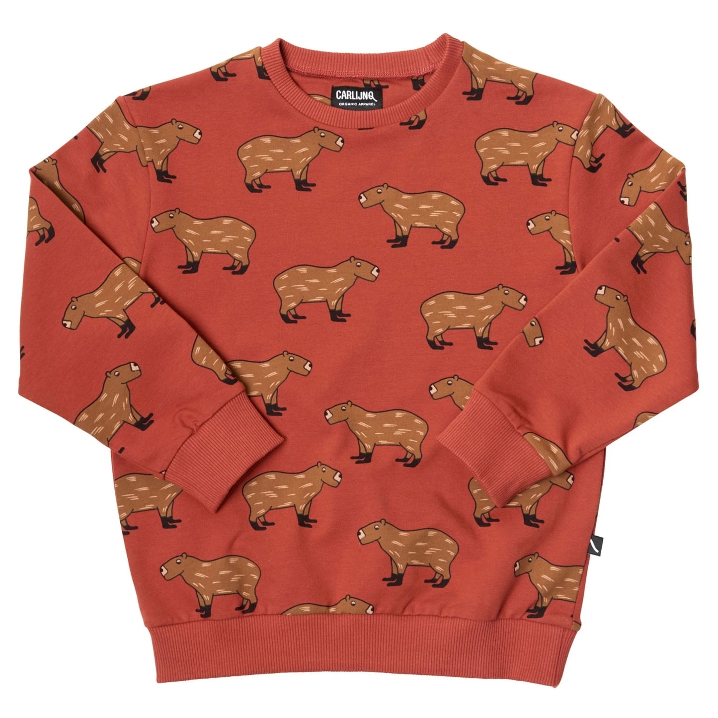 Bluza we wzory - Miziu.pl