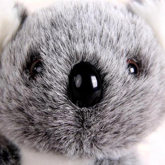 Słodki pluszak koala Słodki pluszak koala
